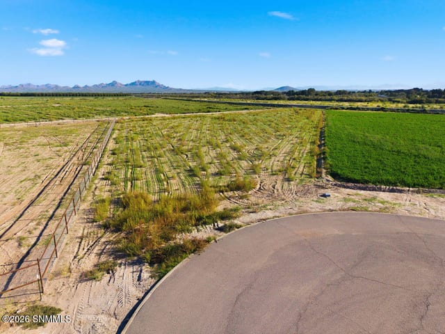 3600 Valle Verde Court, Las Cruces, NM 88007, foto 5