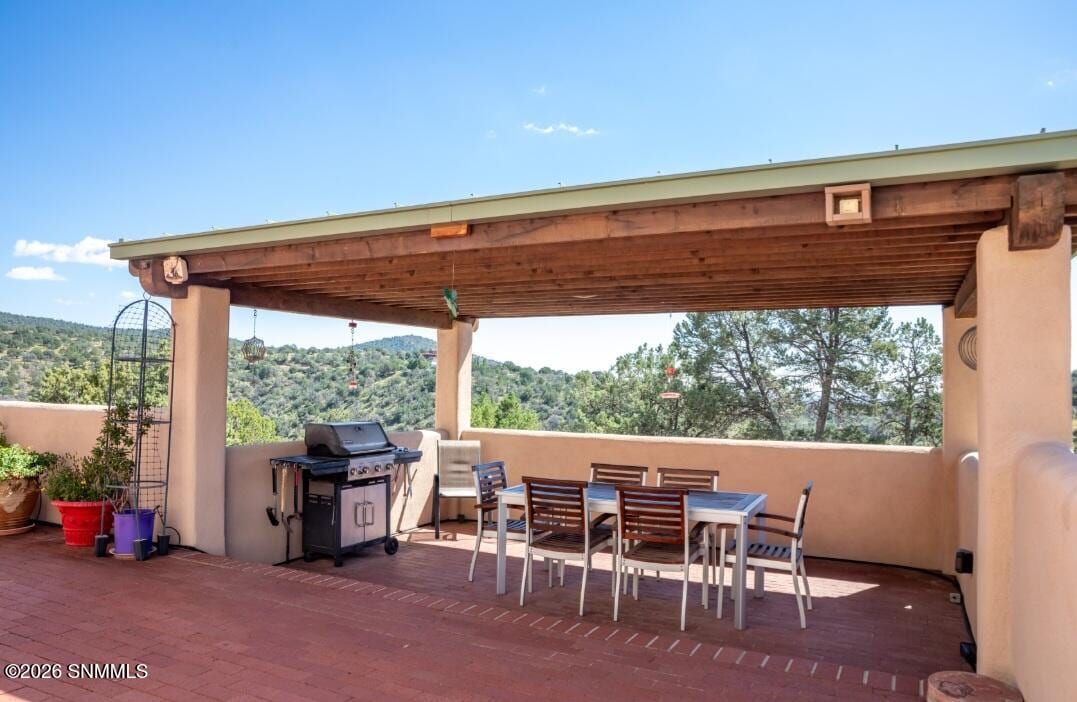 33 Mount Olympus Road, Silver City, NM 88061 photo 6