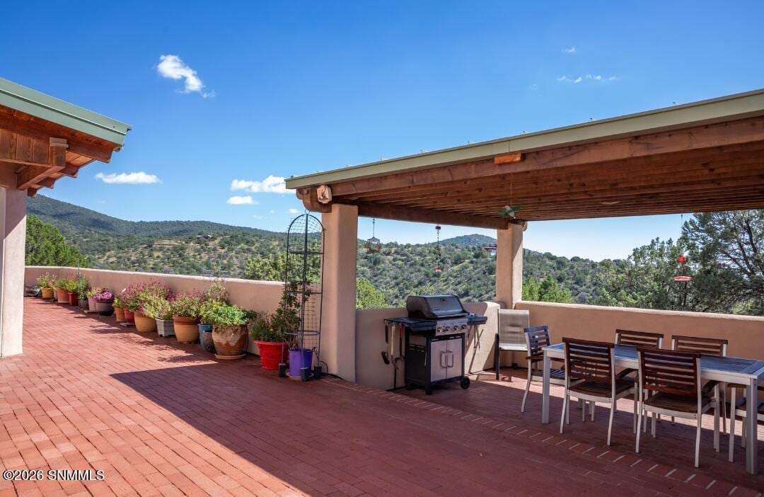 33 Mount Olympus Road, Silver City, NM 88061 photo 8