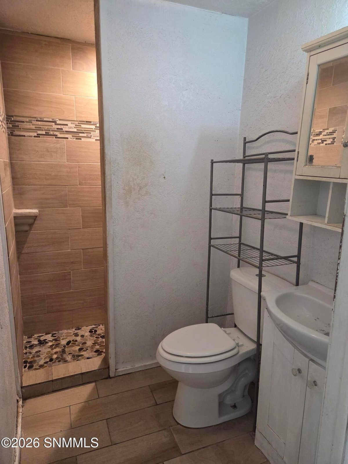 343 E Bowman Avenue, Las Cruces, NM 88001 photo 12