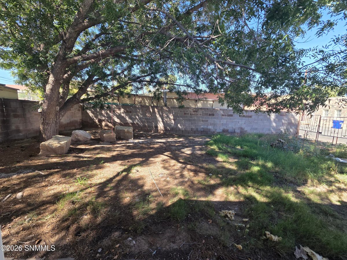 343 E Bowman Avenue, Las Cruces, NM 88001 photo 14