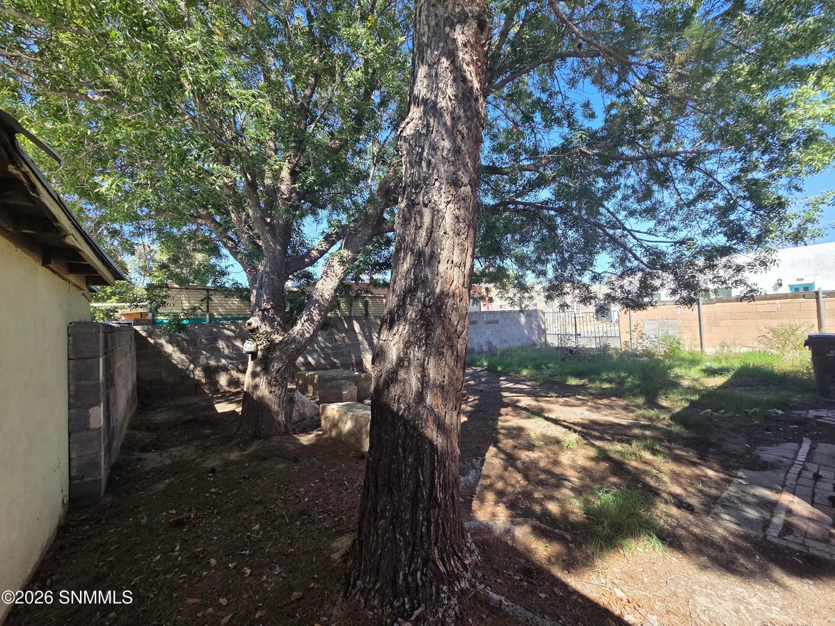 343 E Bowman Avenue, Las Cruces, NM 88001 photo 15