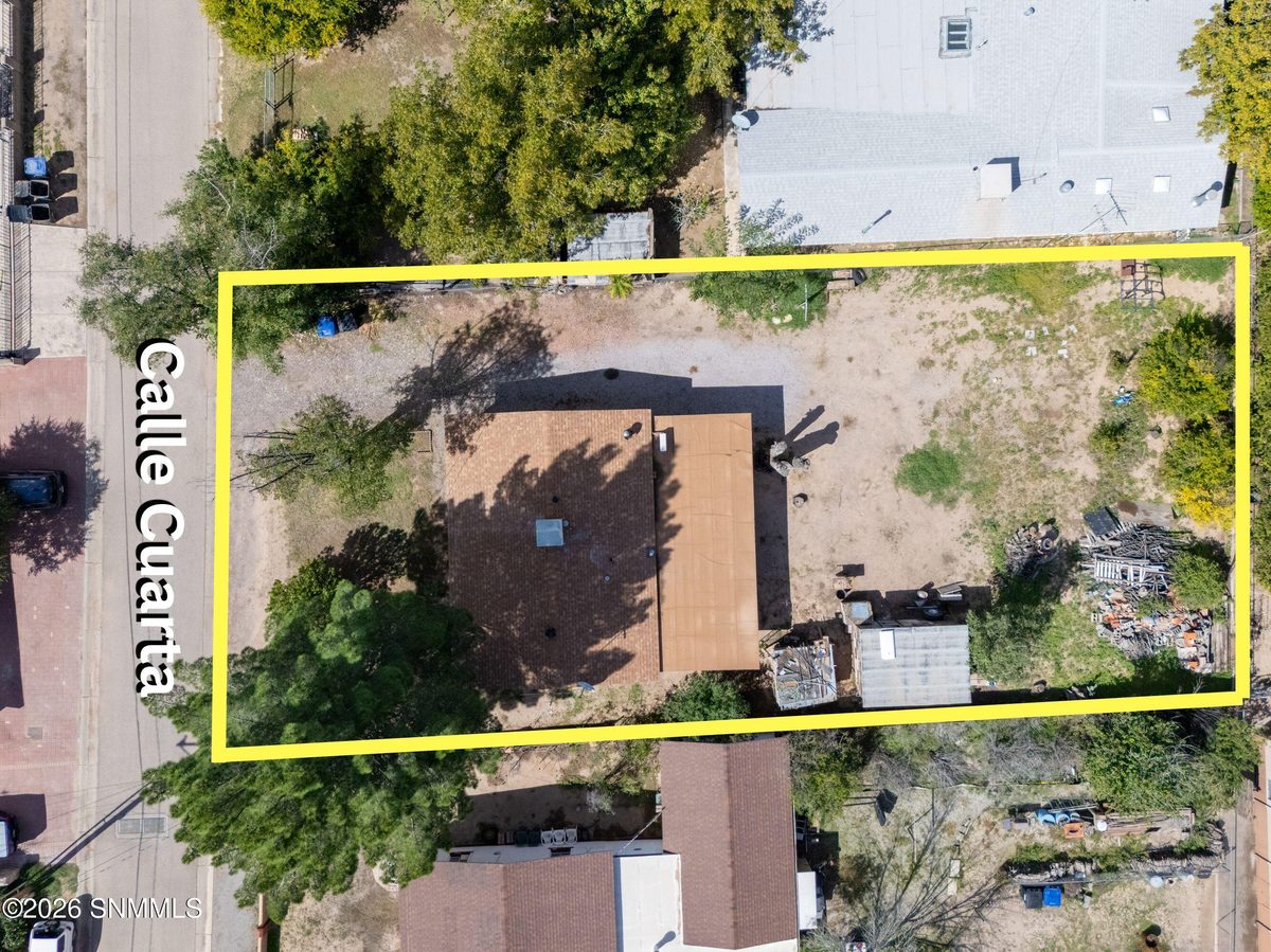 2731 Calle Cuarta, Mesilla, NM 88046 photo 2