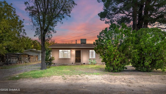 2731 Calle Cuarta, Mesilla, NM 88046 photo 3