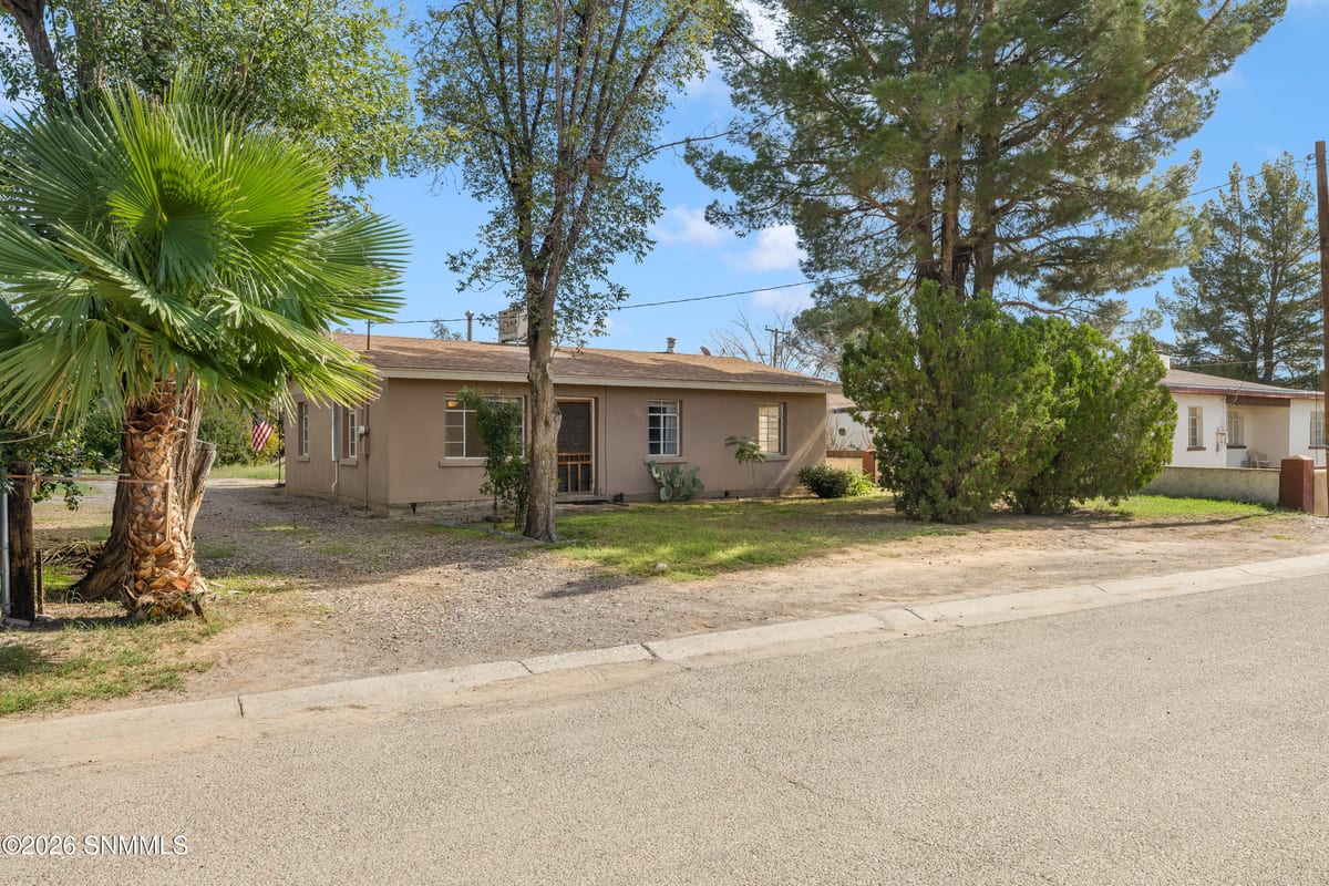 2731 Calle Cuarta, Mesilla, NM 88046 photo 4