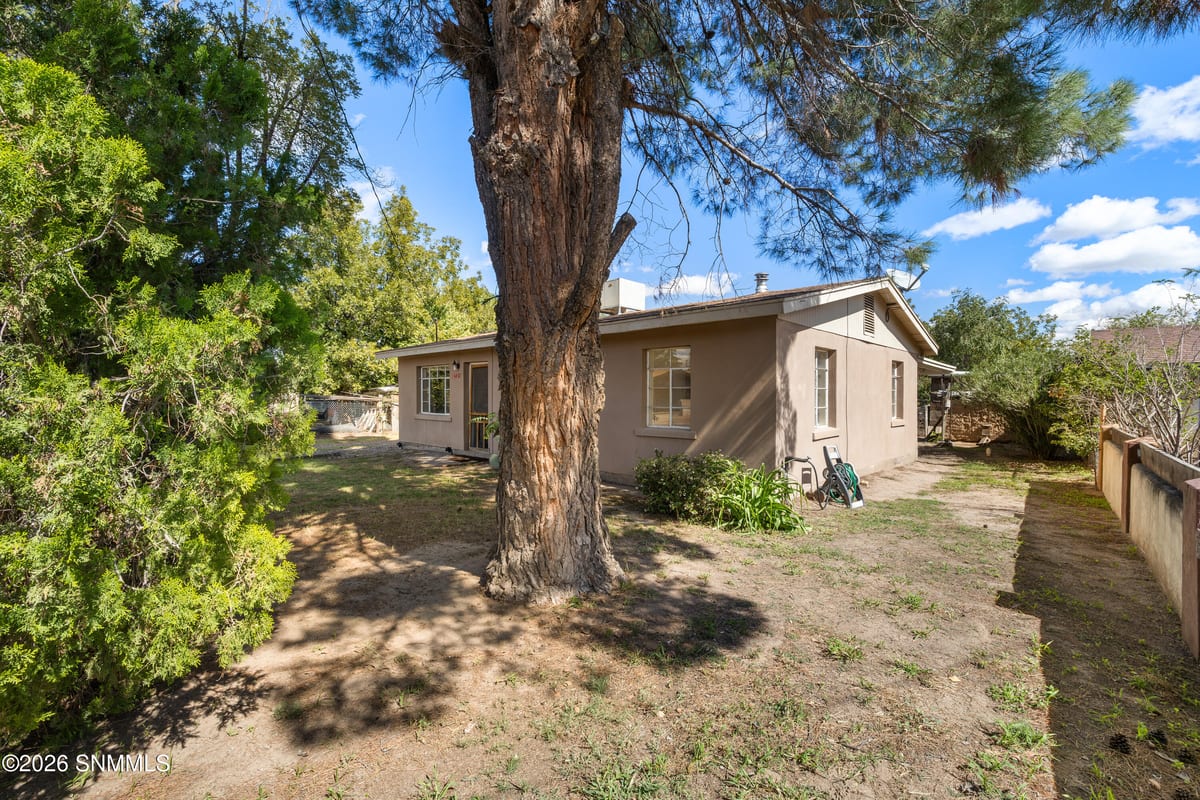 2731 Calle Cuarta, Mesilla, NM 88046 photo 10