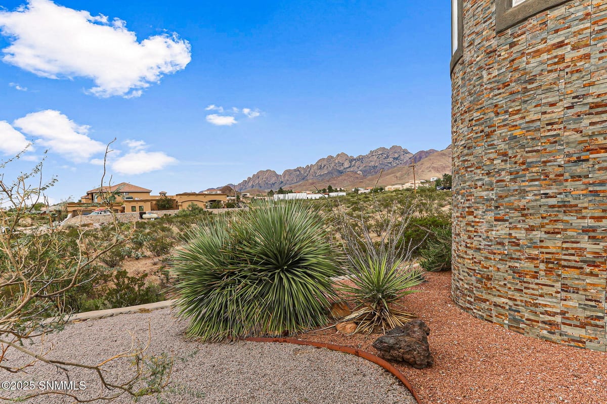 5041 Diamond Mine Road, Las Cruces, NM 88011 photo 12