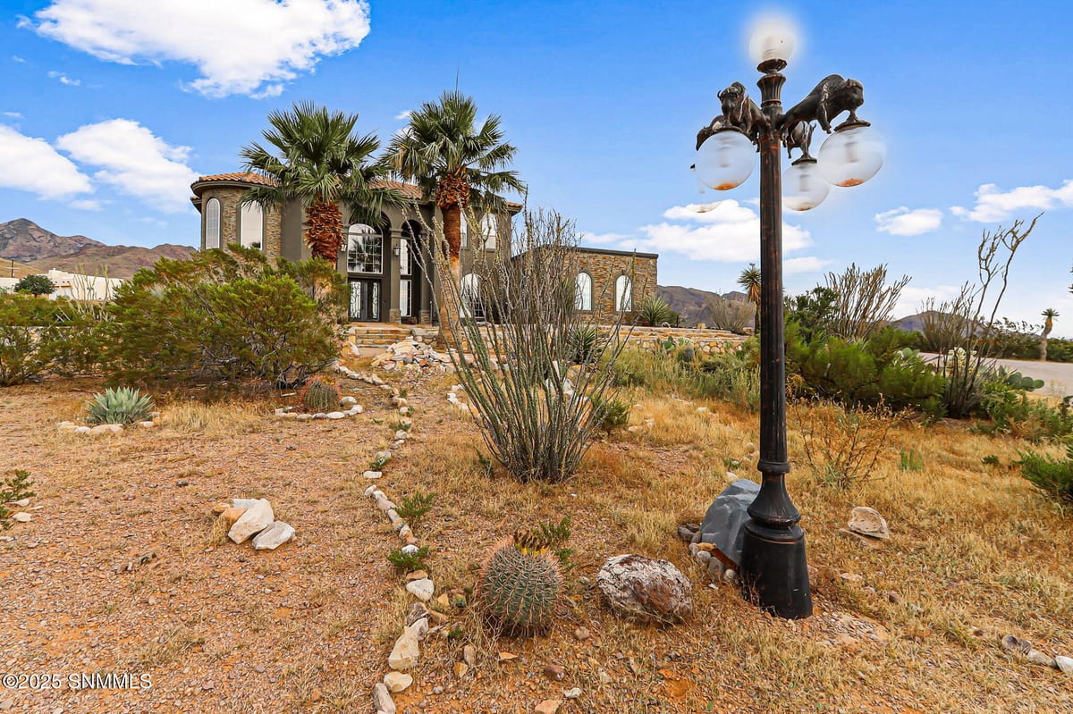 5041 Diamond Mine Road, Las Cruces, NM 88011 photo 13