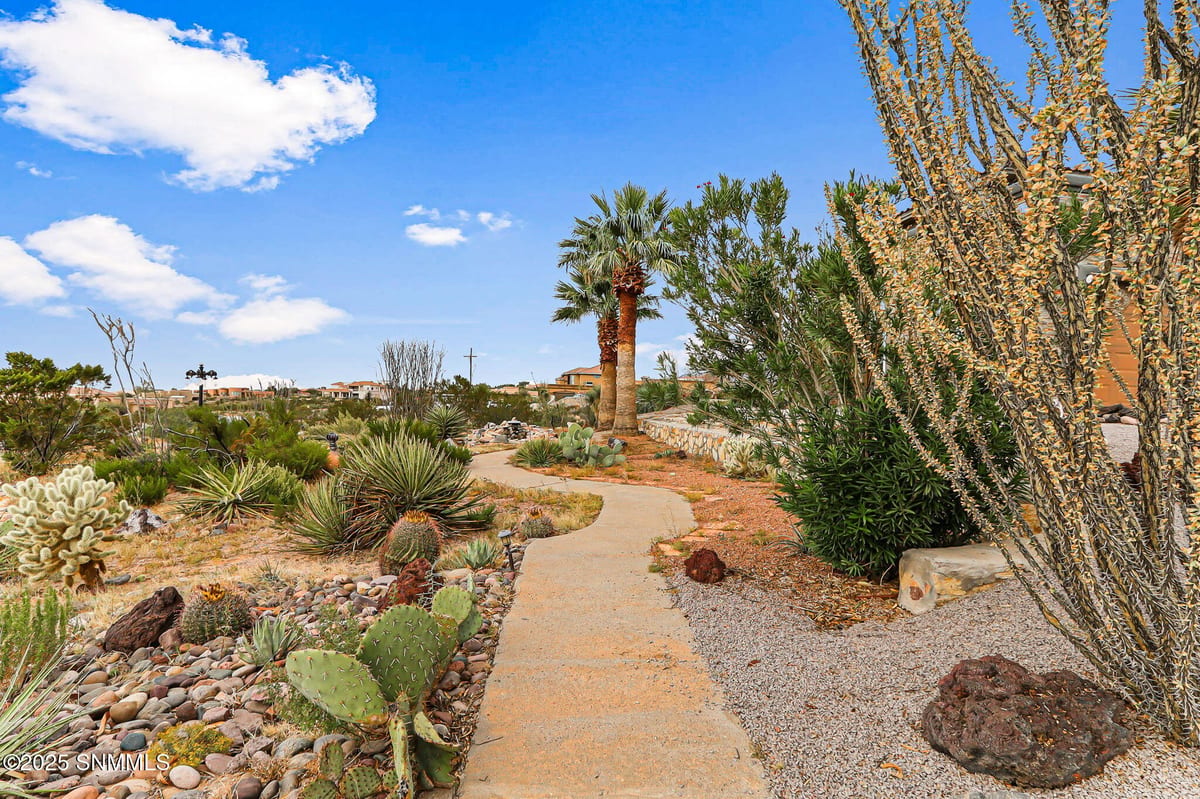 5041 Diamond Mine Road, Las Cruces, NM 88011 photo 10