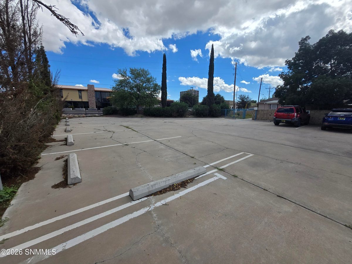 318 W Amador Avenue, Las Cruces, NM 88005, foto 15