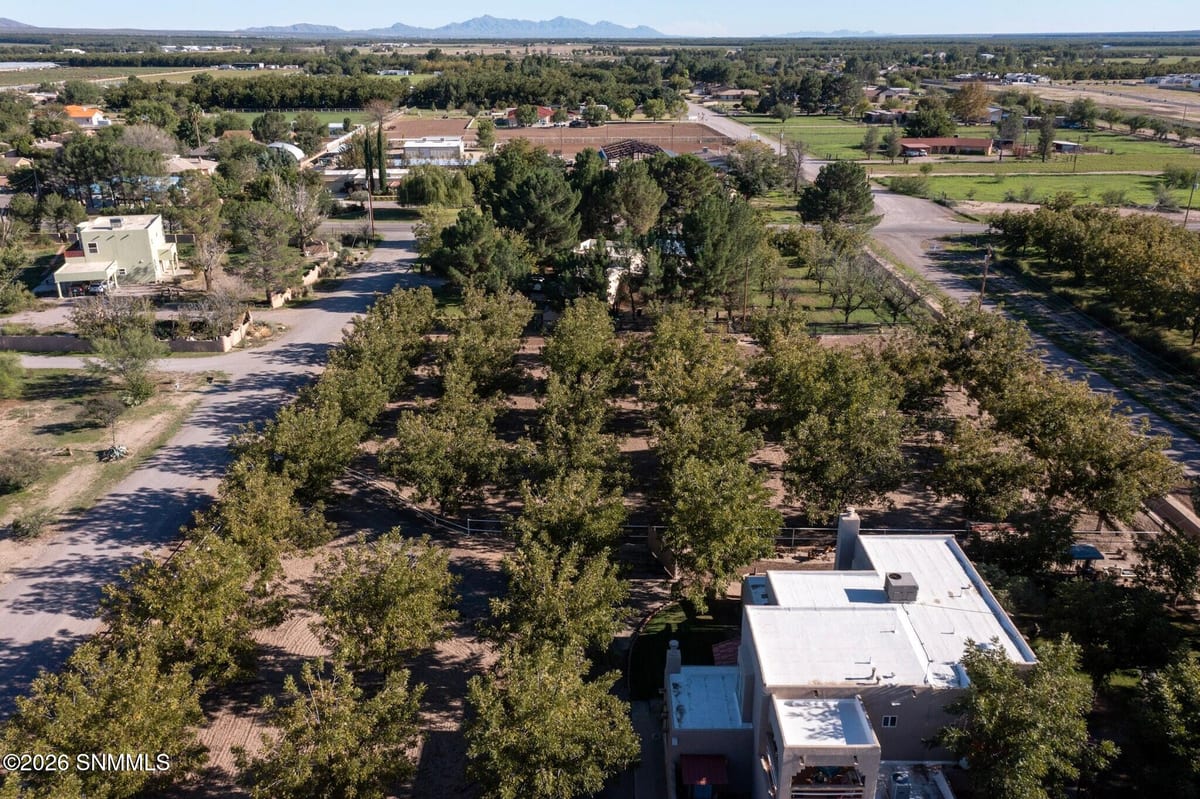 3992 Amistad Drive, Las Cruces, NM 88005 photo 15