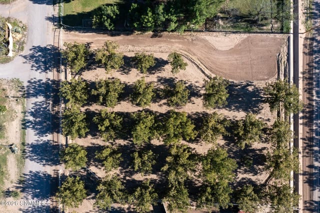 3992 Amistad Drive, Las Cruces, NM 88005 photo 4