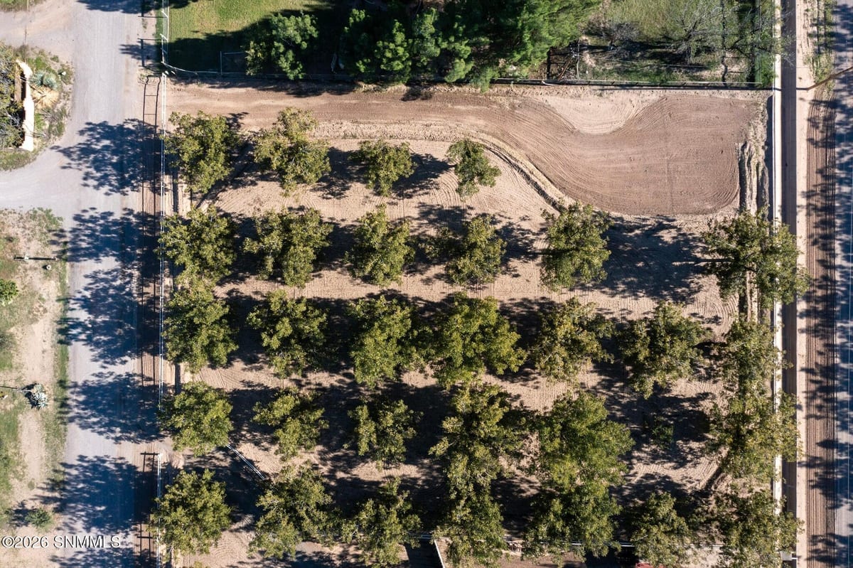 3992 Amistad Drive, Las Cruces, NM 88005 photo 4