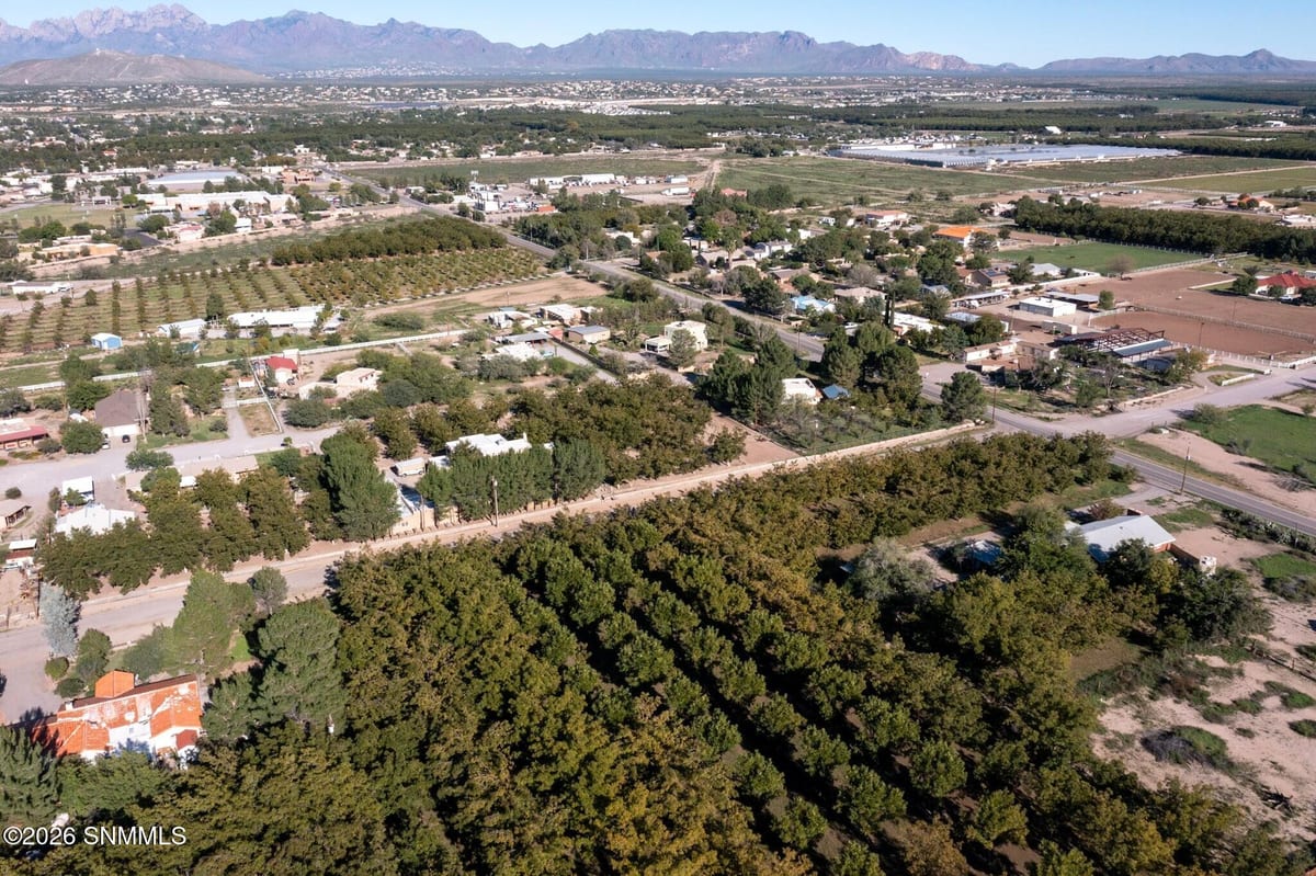 3992 Amistad Drive, Las Cruces, NM 88005 photo 7