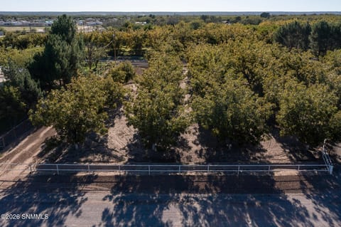 3992 Amistad Drive, Las Cruces, NM home for sale at $150,000