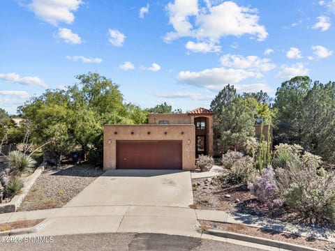 3922 Staghorn Court home for sale