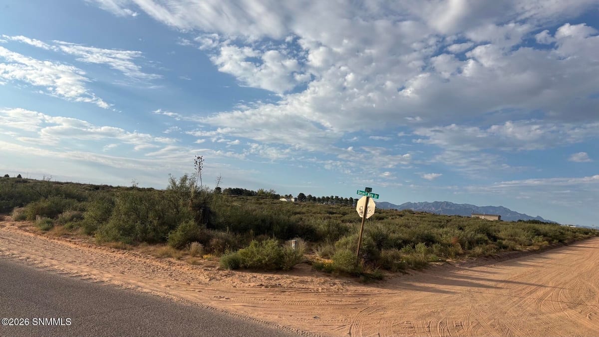 1450 Desert Aire Drive, Chaparral, NM 88081 photo 2