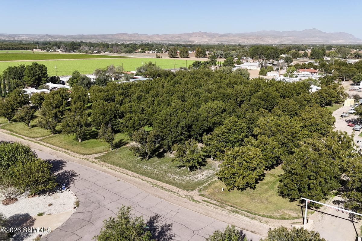 TBD W Calle Contento, Las Cruces, NM 88007 photo 4