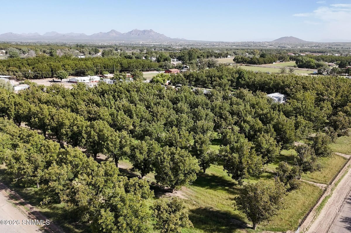TBD W Calle Contento, Las Cruces, NM 88007 photo 6