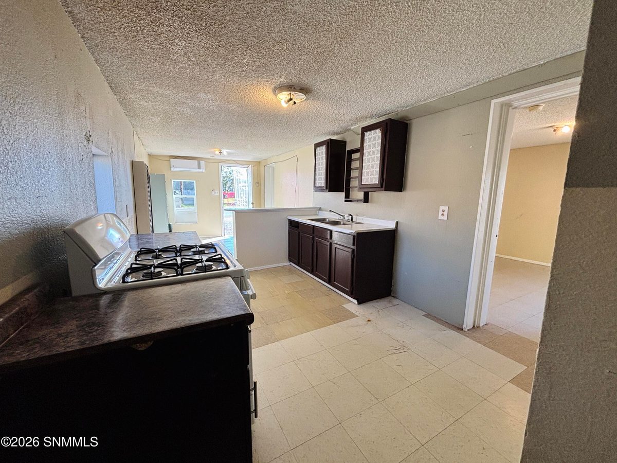 130 W Hill Street, Hatch, NM 87937 photo 10