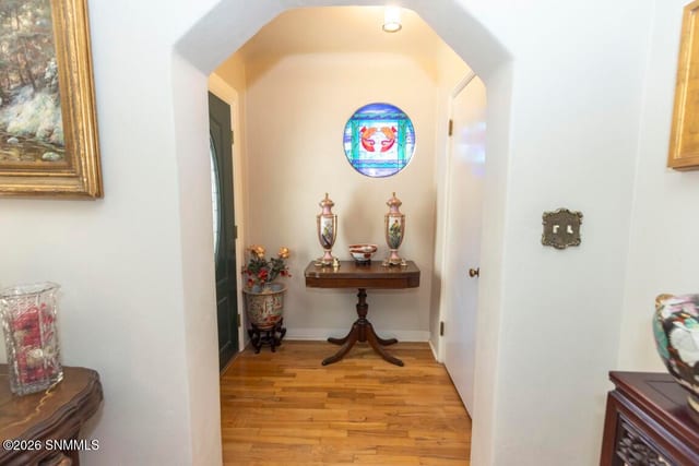 950 Hess Terrace, Las Cruces, NM 88005, foto 5
