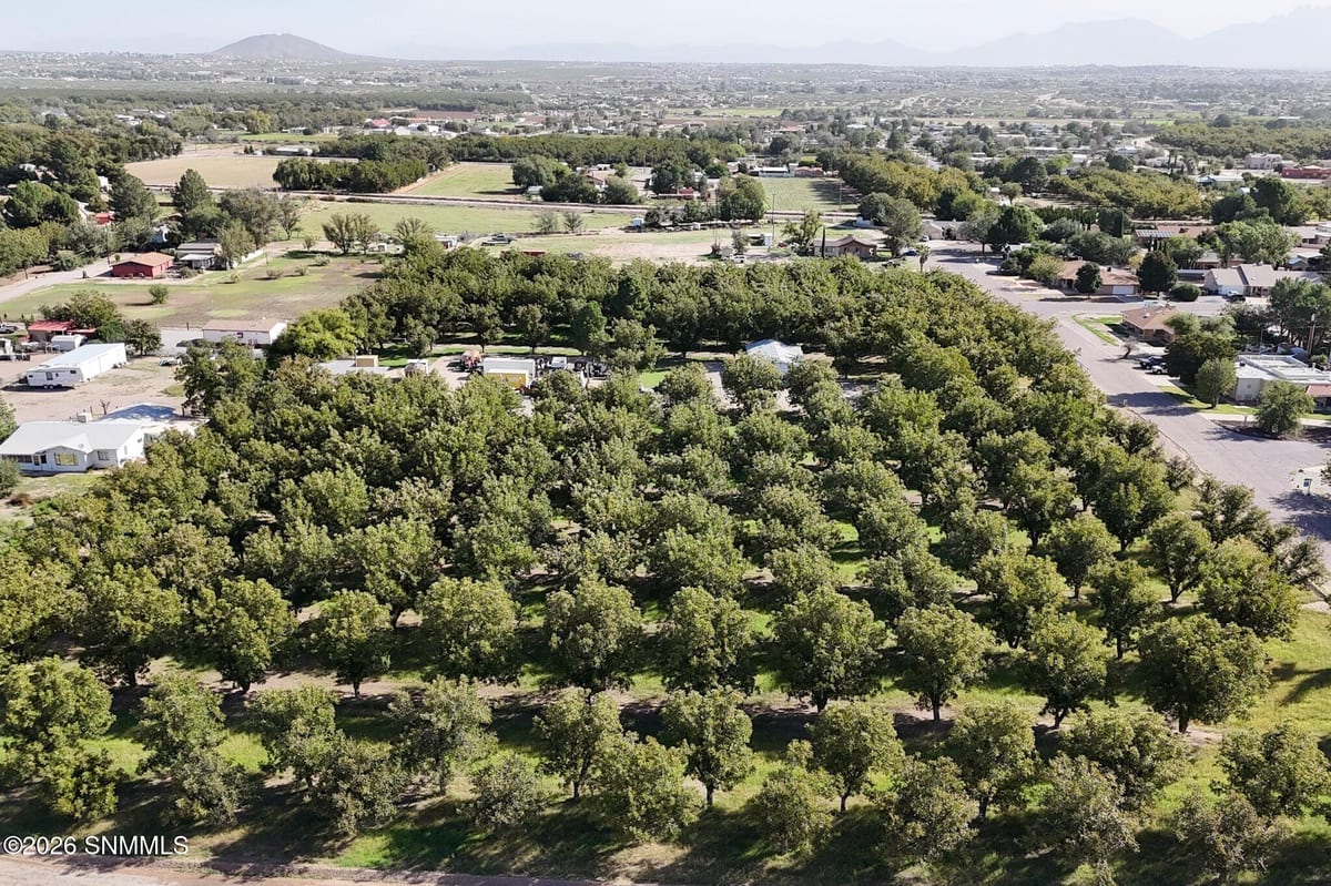 TBD W Calle Contento, Las Cruces, NM 88007 photo 11
