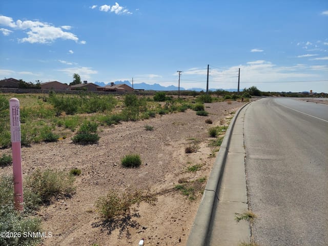 4301 Del Rey, Las Cruces, NM 88012 photo 2