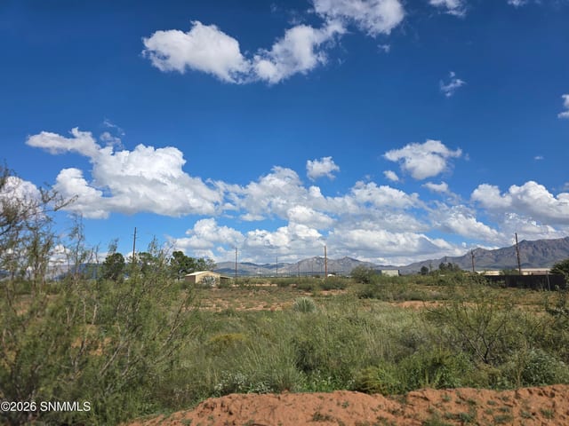 8708 Holman Road, Las Cruces, NM 88011 photo 3