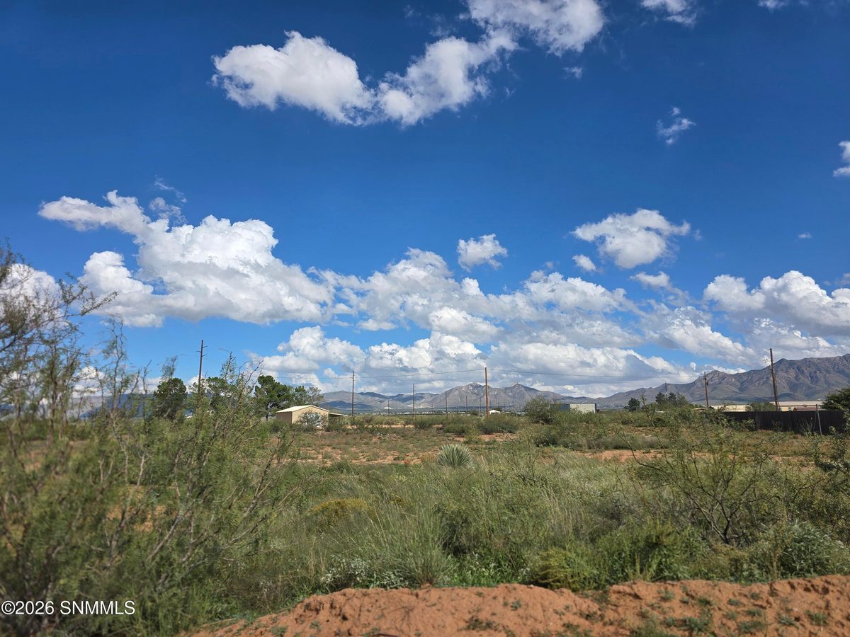 8708 Holman Road, Las Cruces, NM 88011 photo 3