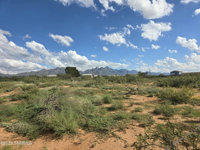 8708 Holman Road, Las Cruces, NM 88011 photo 4