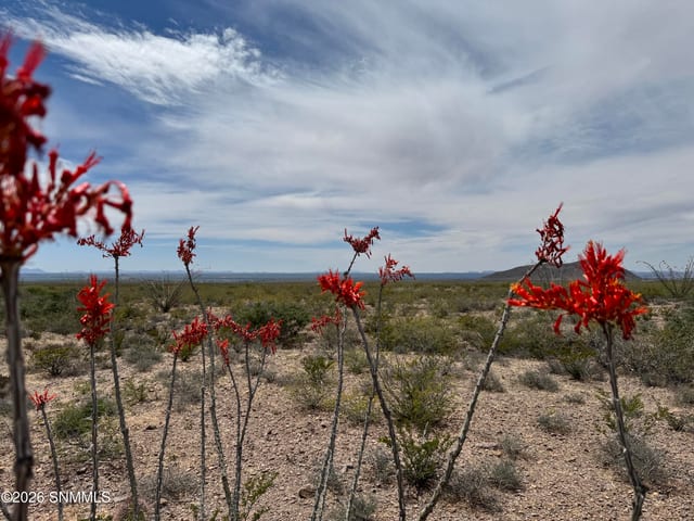 TBD Hardrock Road, Las Cruces, NM 88011 photo 4