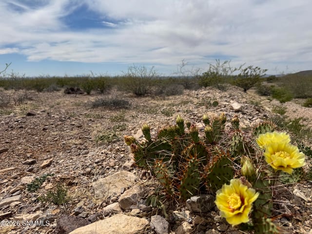 TBD Hardrock Road, Las Cruces, NM vacant land/acreage for sale at $199,900