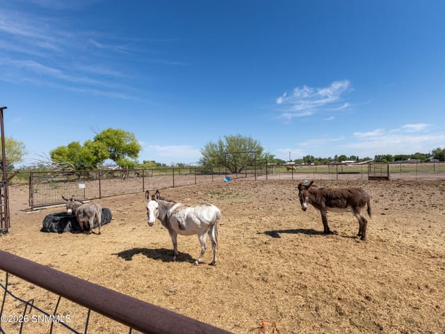 1401 Higuera Avenue, Tularosa, NM 88352 photo 5