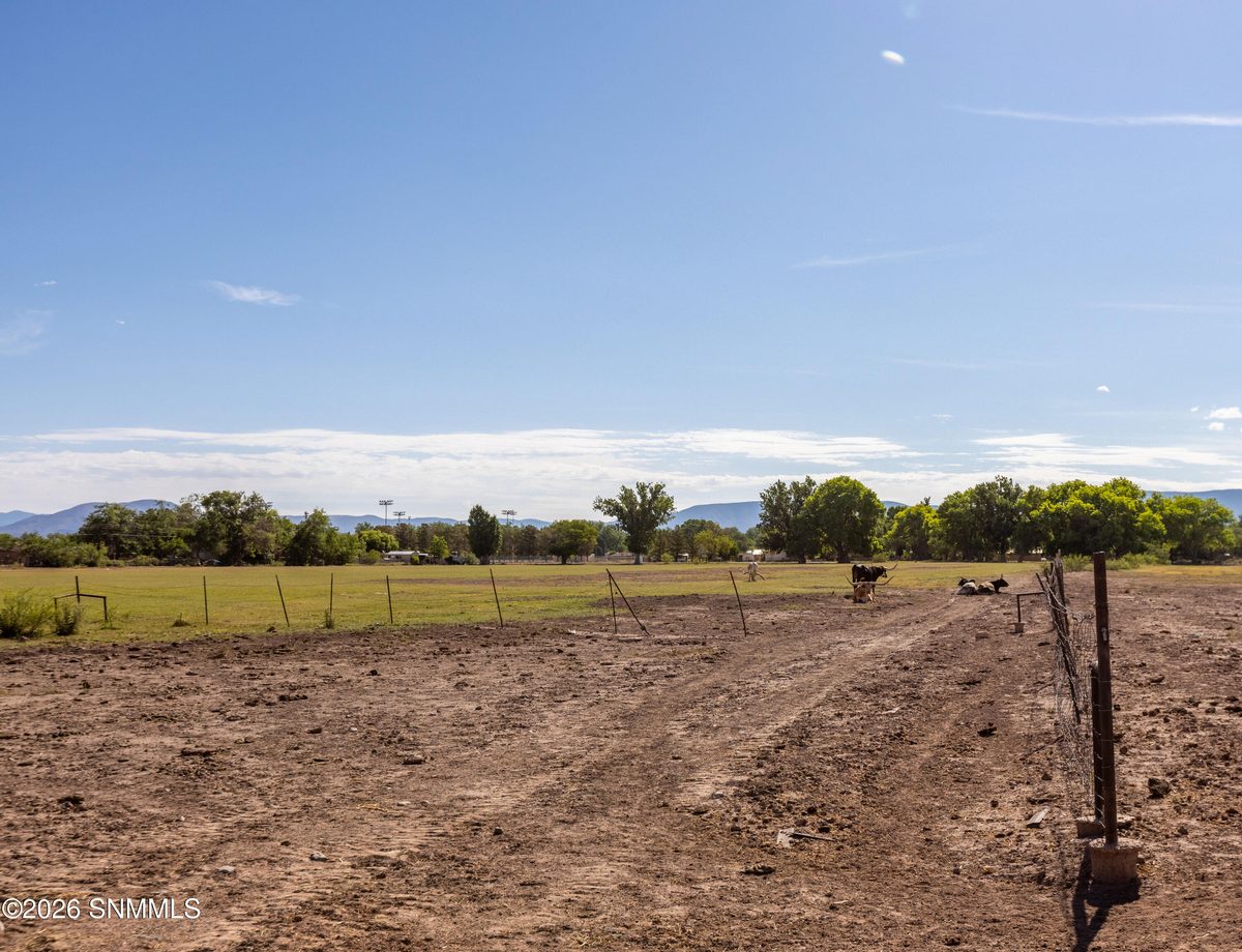 1401 Higuera Avenue, Tularosa, NM 88352 photo 8