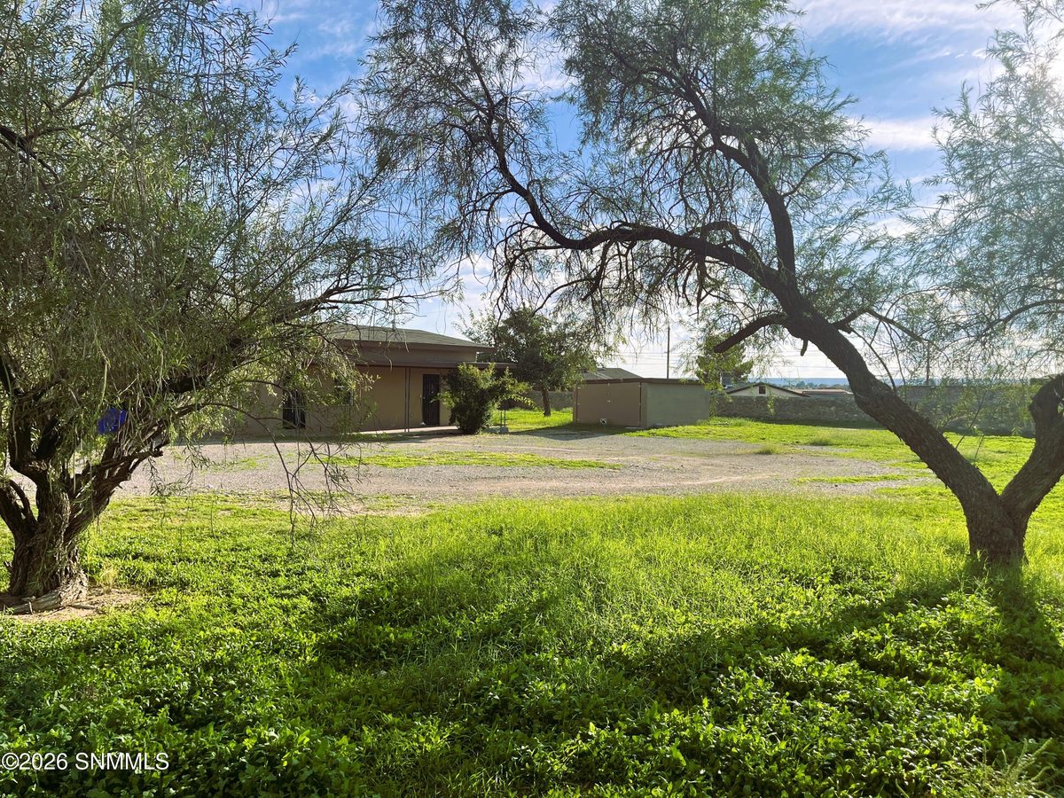 910 S Esperanza Street, Las Cruces, NM 88001 photo 9