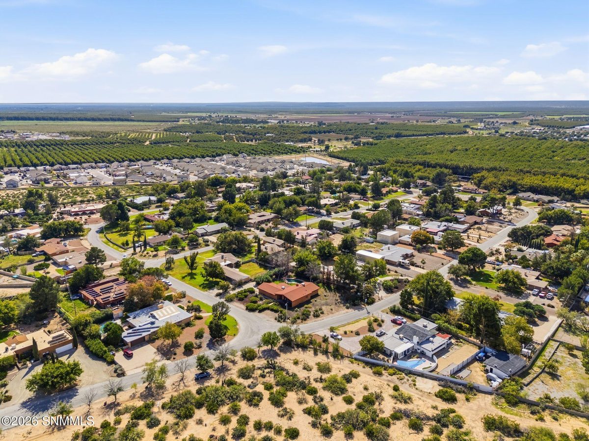 2901 Karen Drive, Las Cruces, NM 88001 photo 9